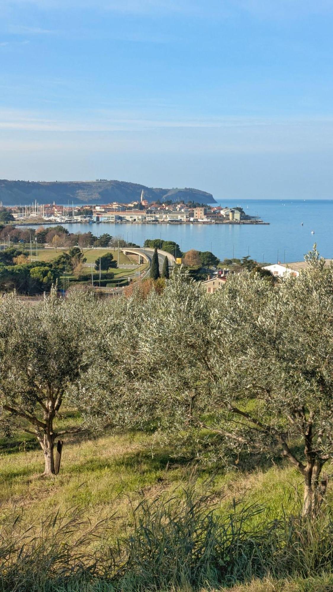 Apartmaji Diversorio Izola Exteriér fotografie